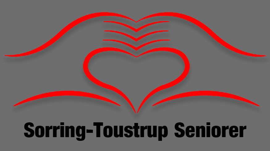STS logo